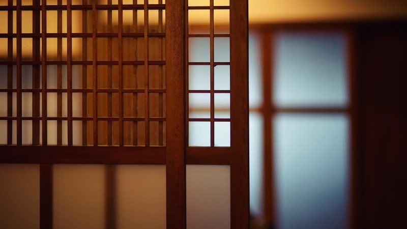 武极天下势力格局：宗门、家族与阵营关系 配图